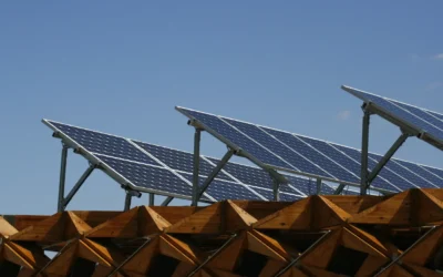 How Solar Panels Work: A Beginner’s Guide